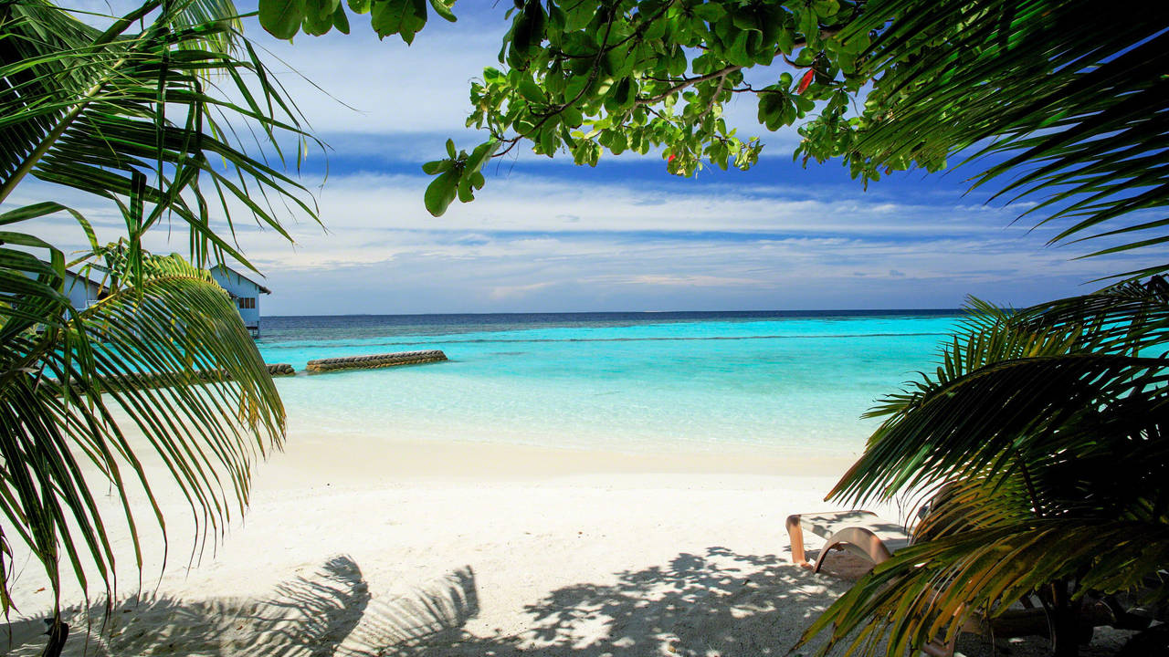 Witte zandstrand van de Malediven