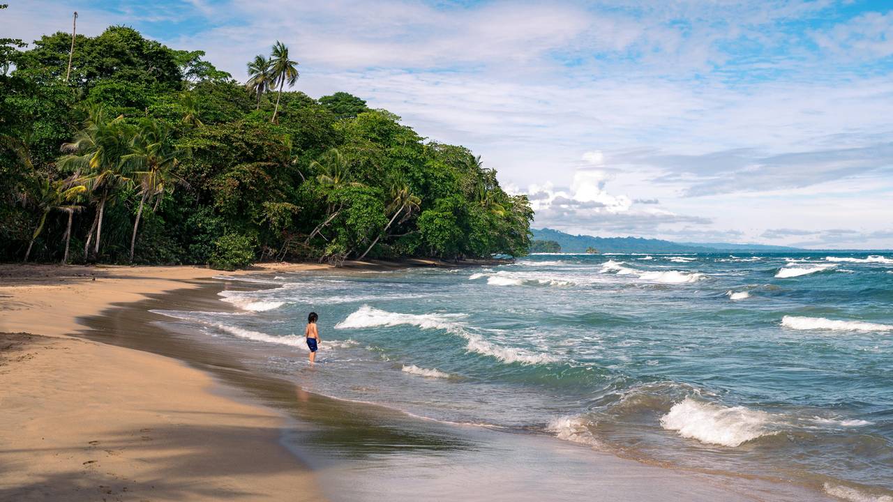 Strand aan de Caribische kust