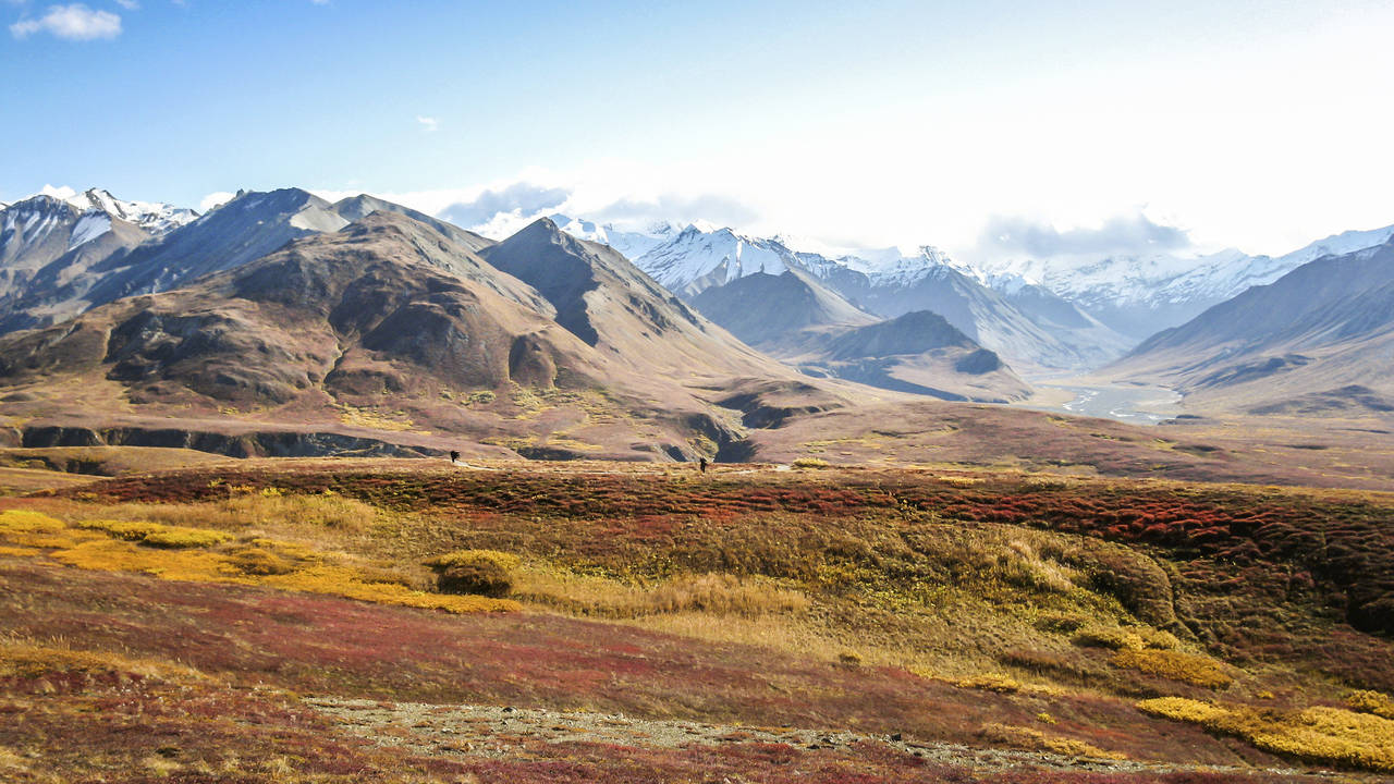 Denali National Park