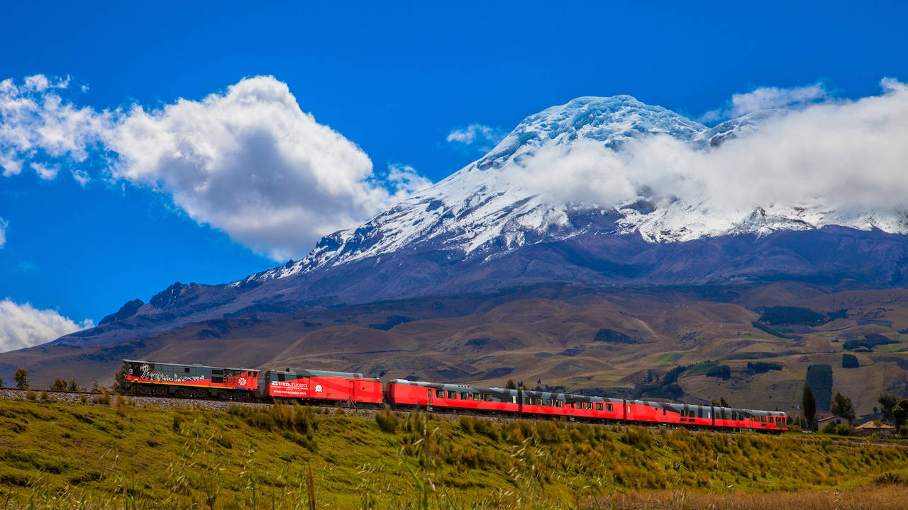 Trein op de helling van Chimborazo