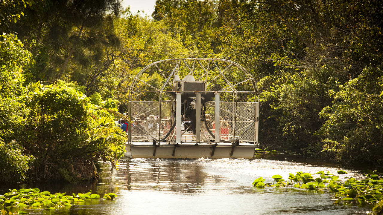 Airboat tour in het Everglades National Park