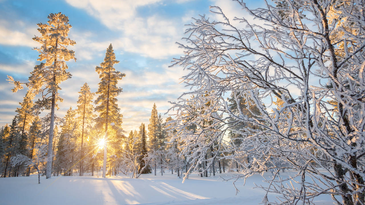 Winter in Fins Lapland