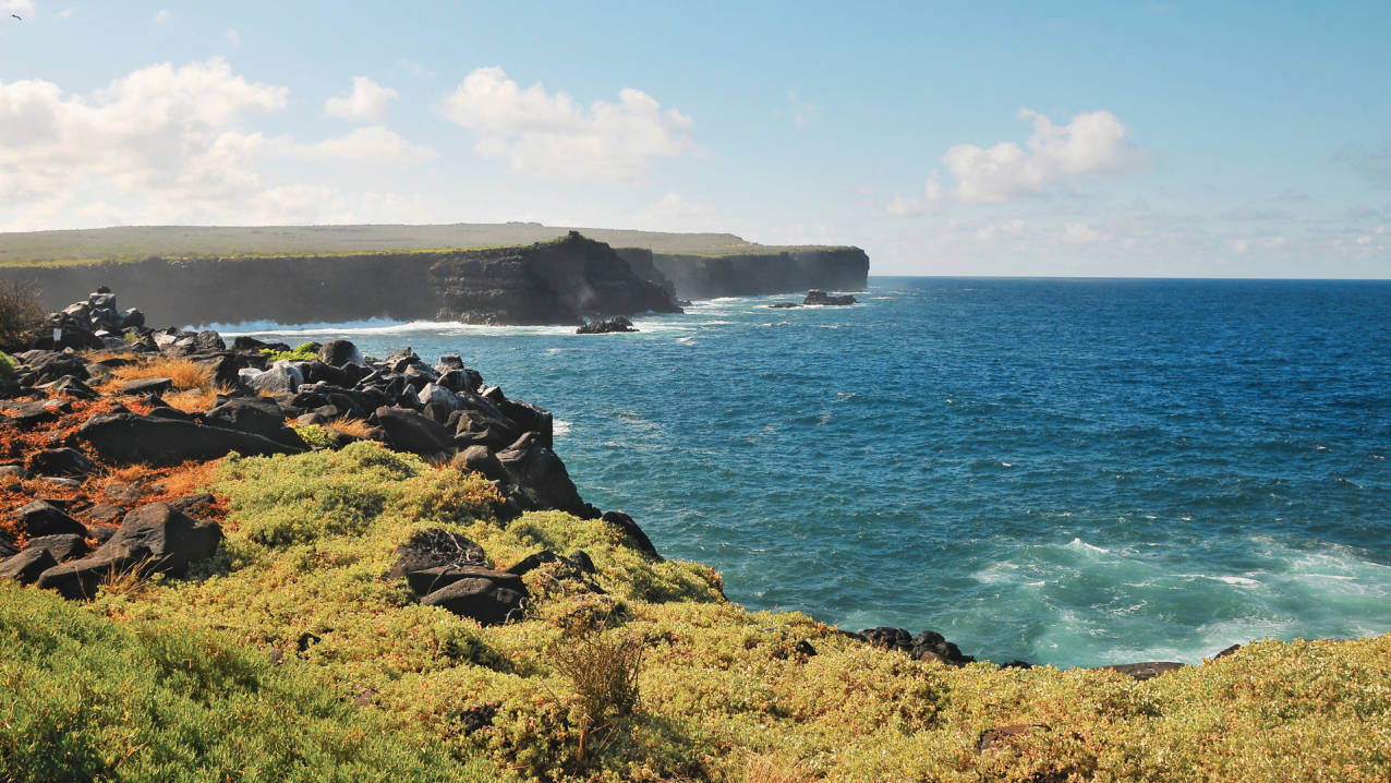 Galápagos