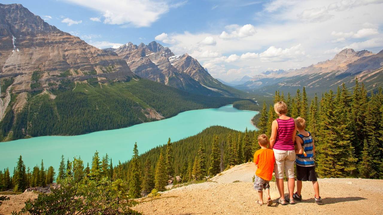 Lake Peyto
