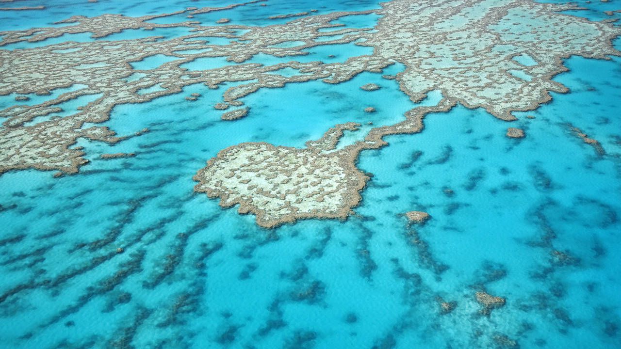 Great Barrier Reef