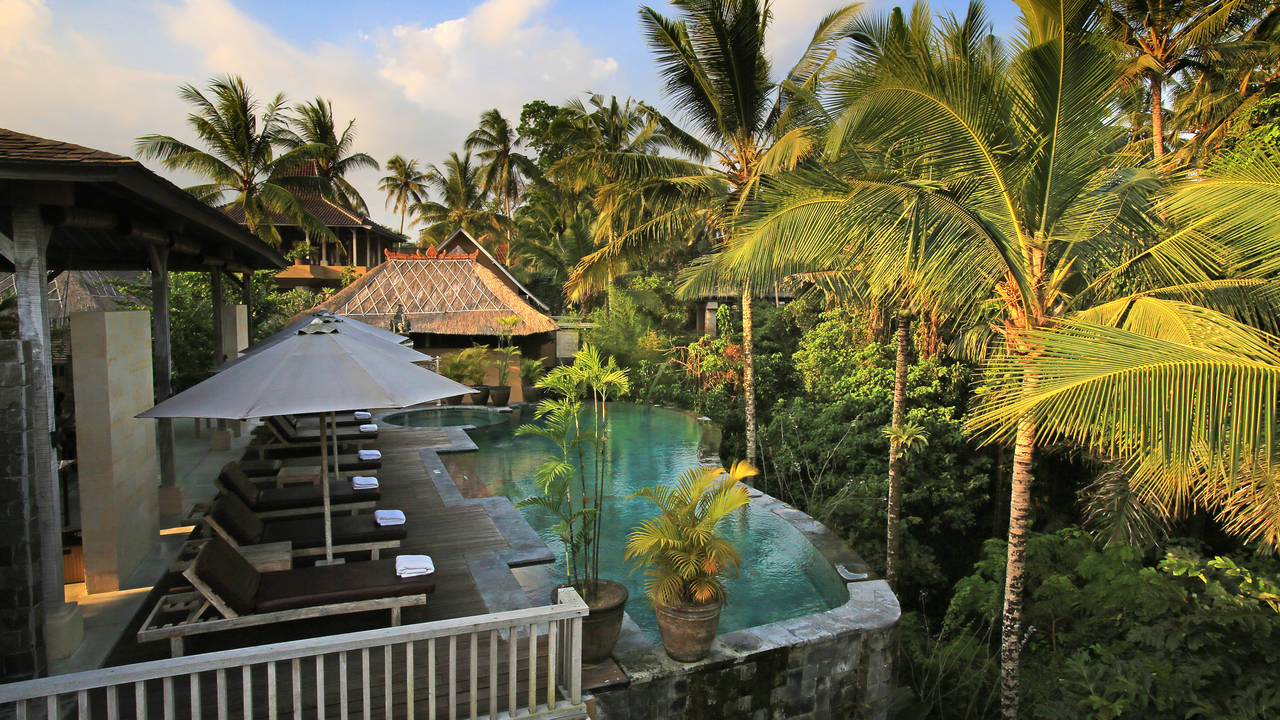 Wapa di Ume in Ubud, Bali