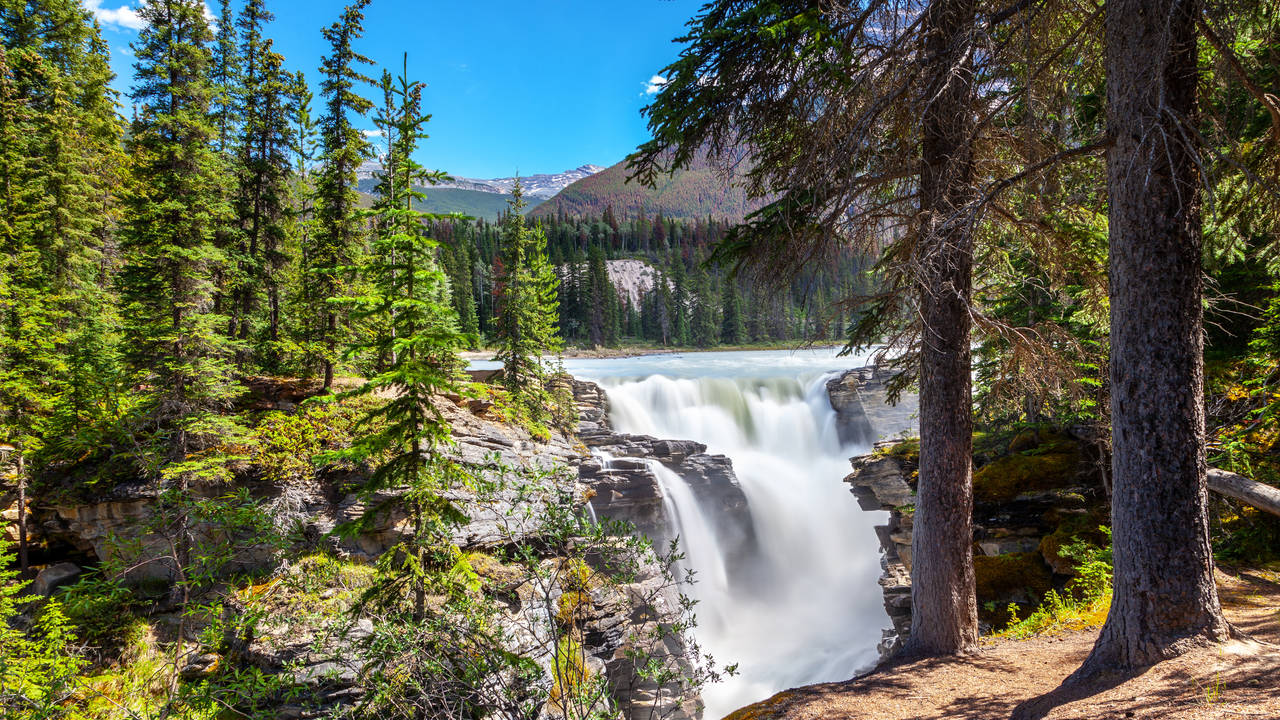 Athabasca Falls, Jasper National Park
