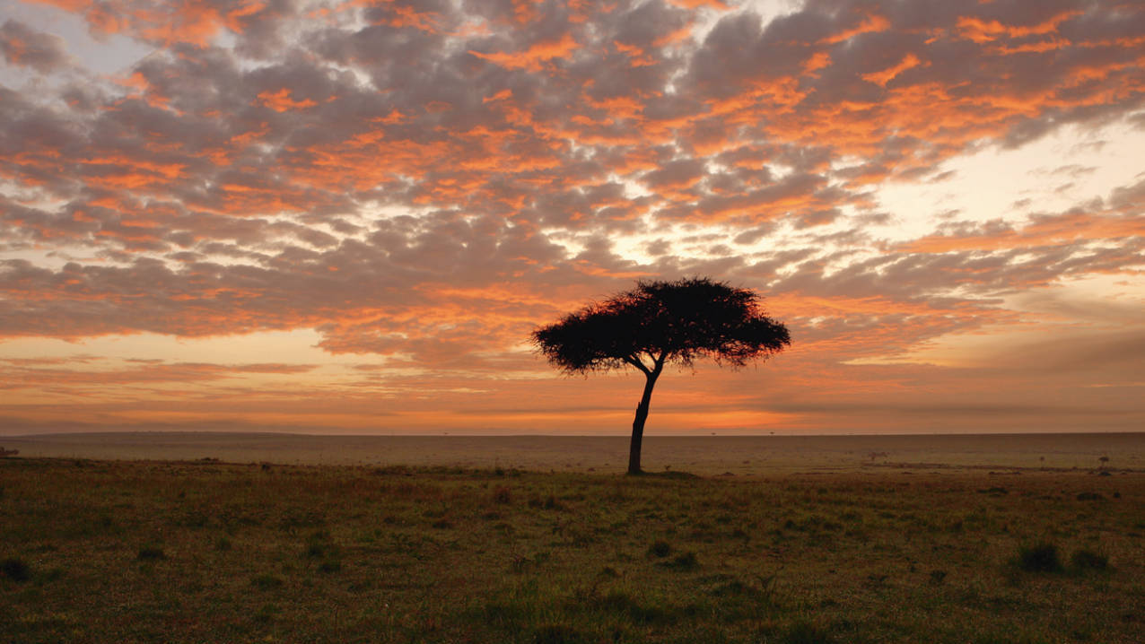 Zonsondergang in Kenia