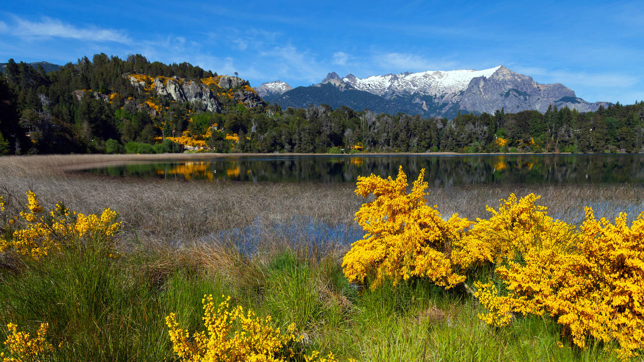Lago Trebol, Bariloche