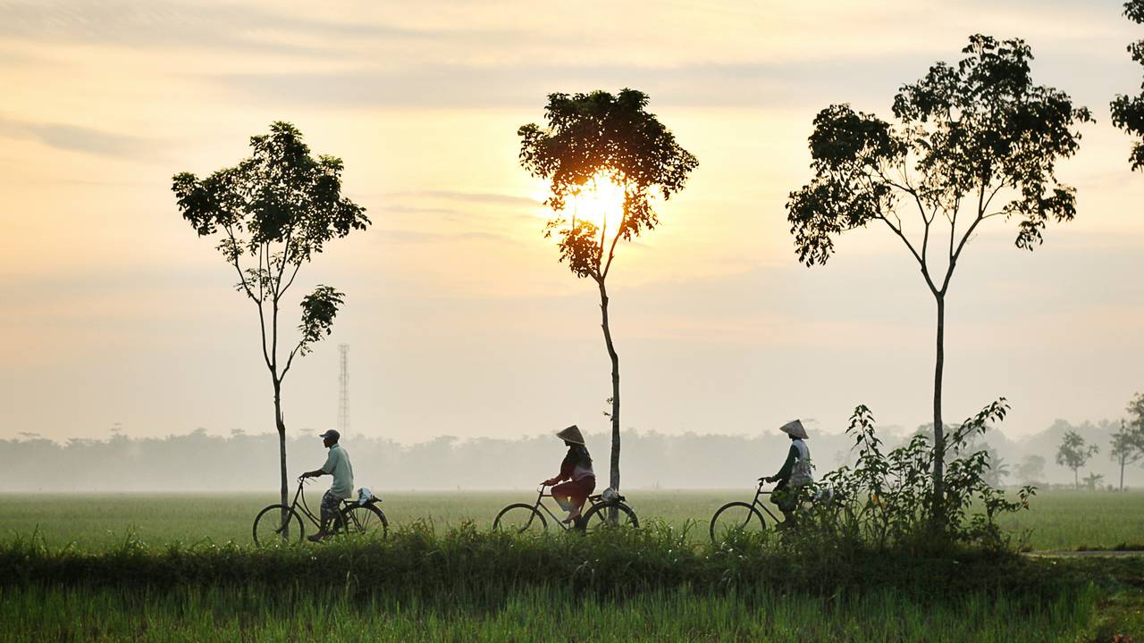 Lokale bevolking op de fiets bij Hoi An