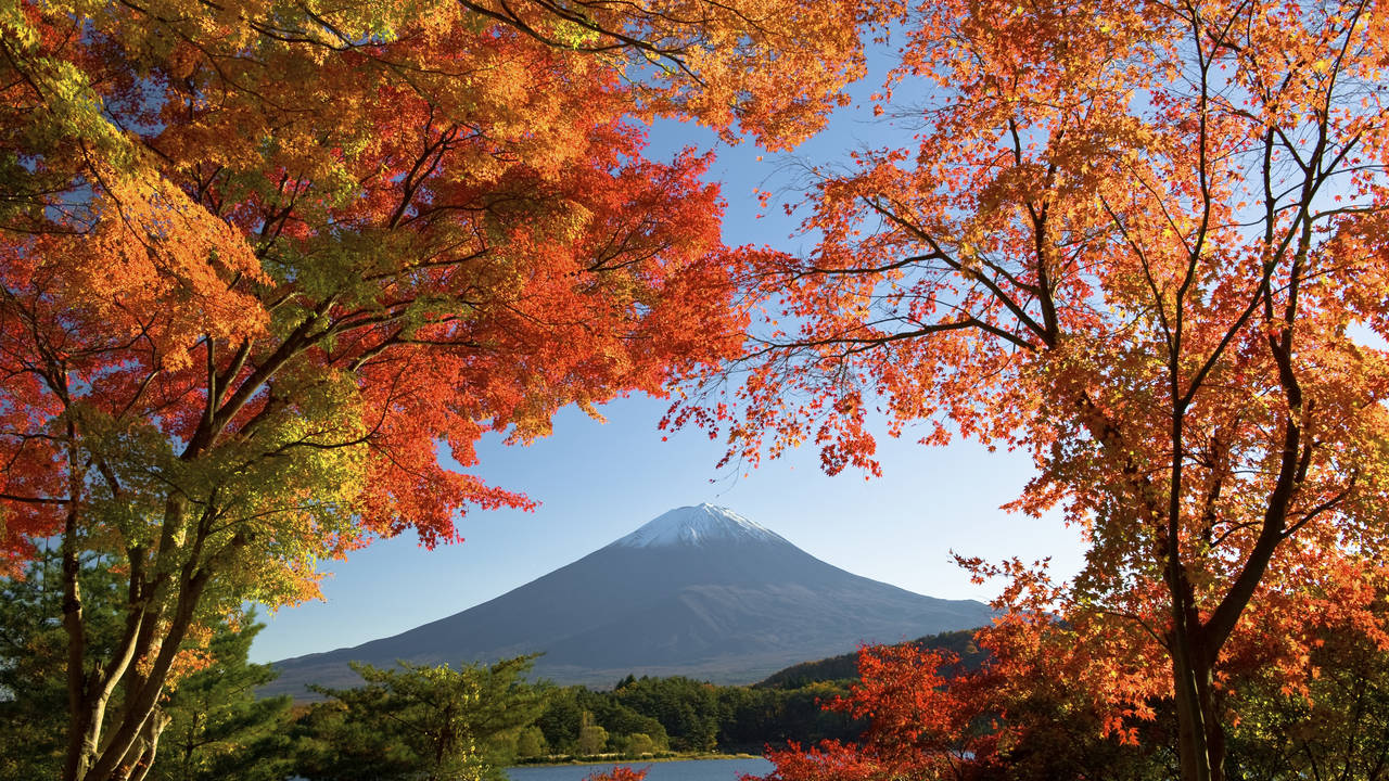 Mount Fuji, Hakone National Park
