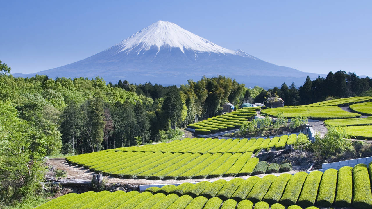 Uitzicht op Mount Fuji