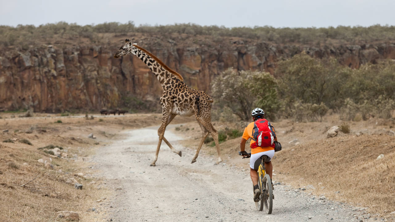 Mountainbiken in Hells Gate National Park