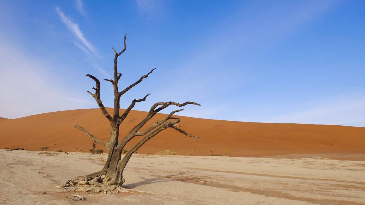 Deadvlei in Namibië