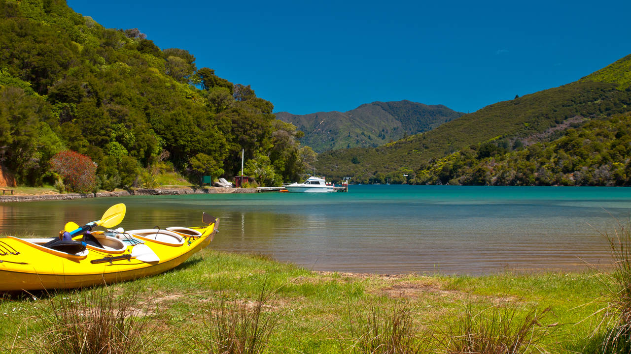 Kajakken, Marlborough Sounds