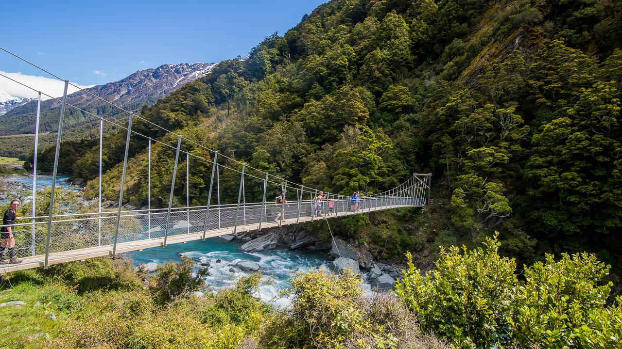 Rob Roy Track, Mount Aspiring National Park