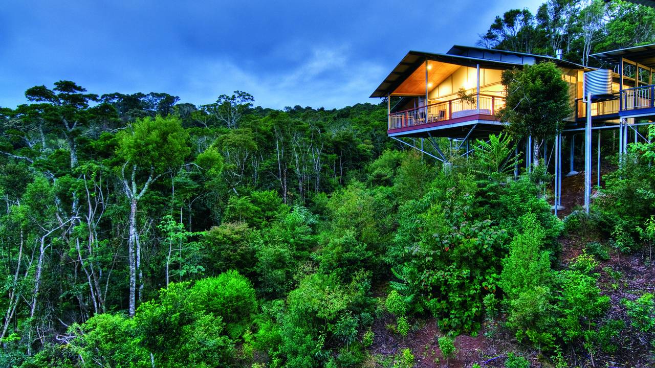 O'Reilly's Rainforest Retreat, Lamington National Park, Queensland