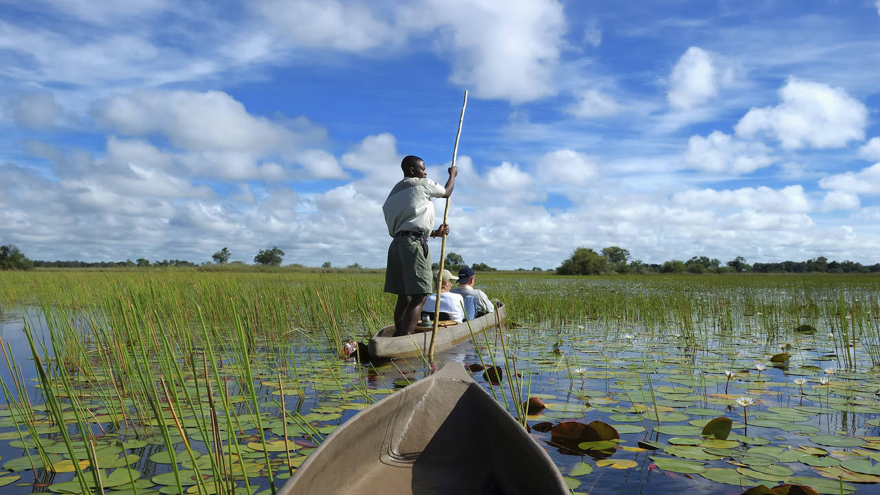 In een mokoro door de Okavango Delta varen