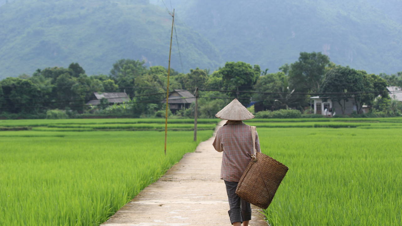 Local in Mai Chau