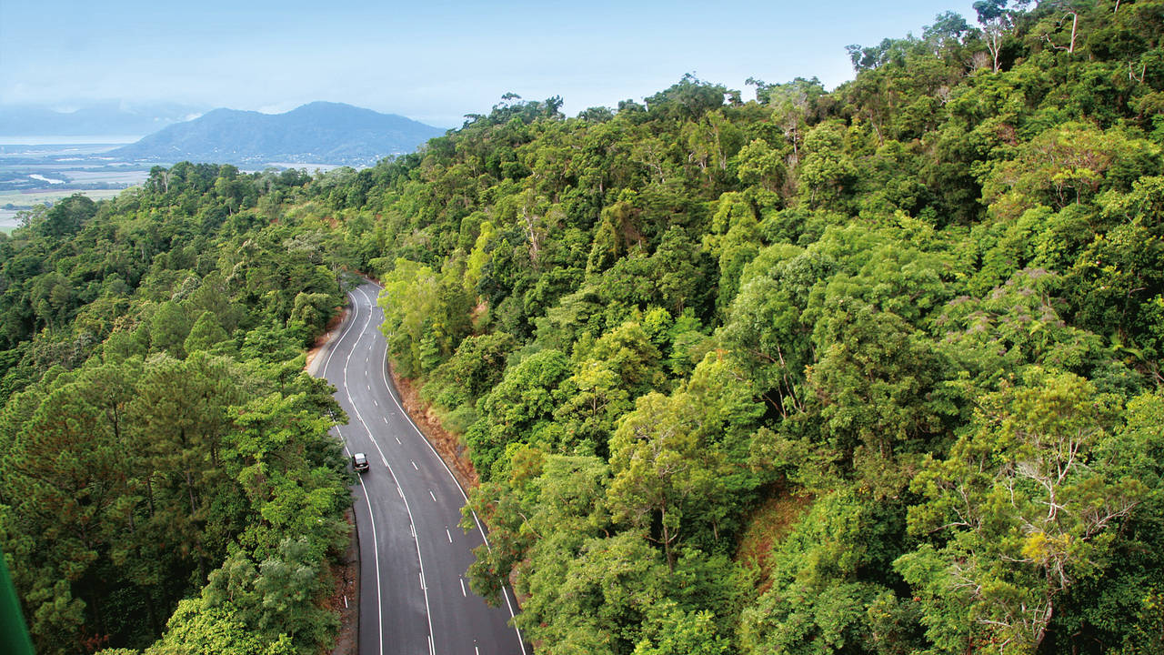 Regenwoud bij Atherton Tablelands