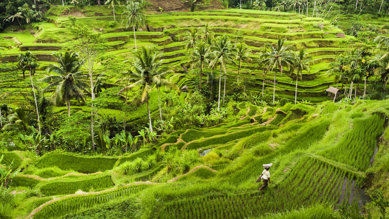 Sfeerimpressie Bali the Beautiful