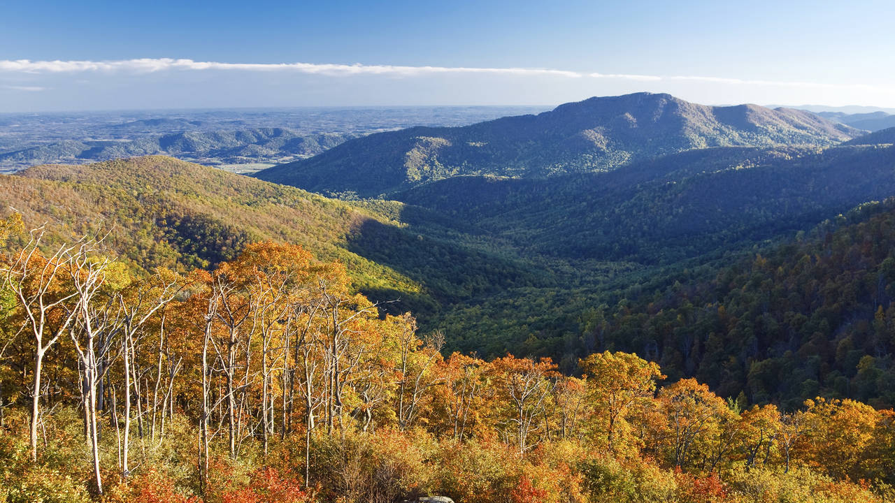 Shenandoah National Park