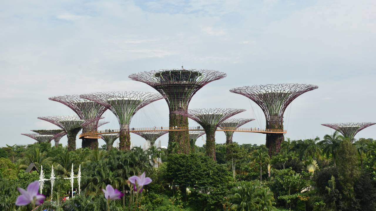 Gardens by the Bay Singapore