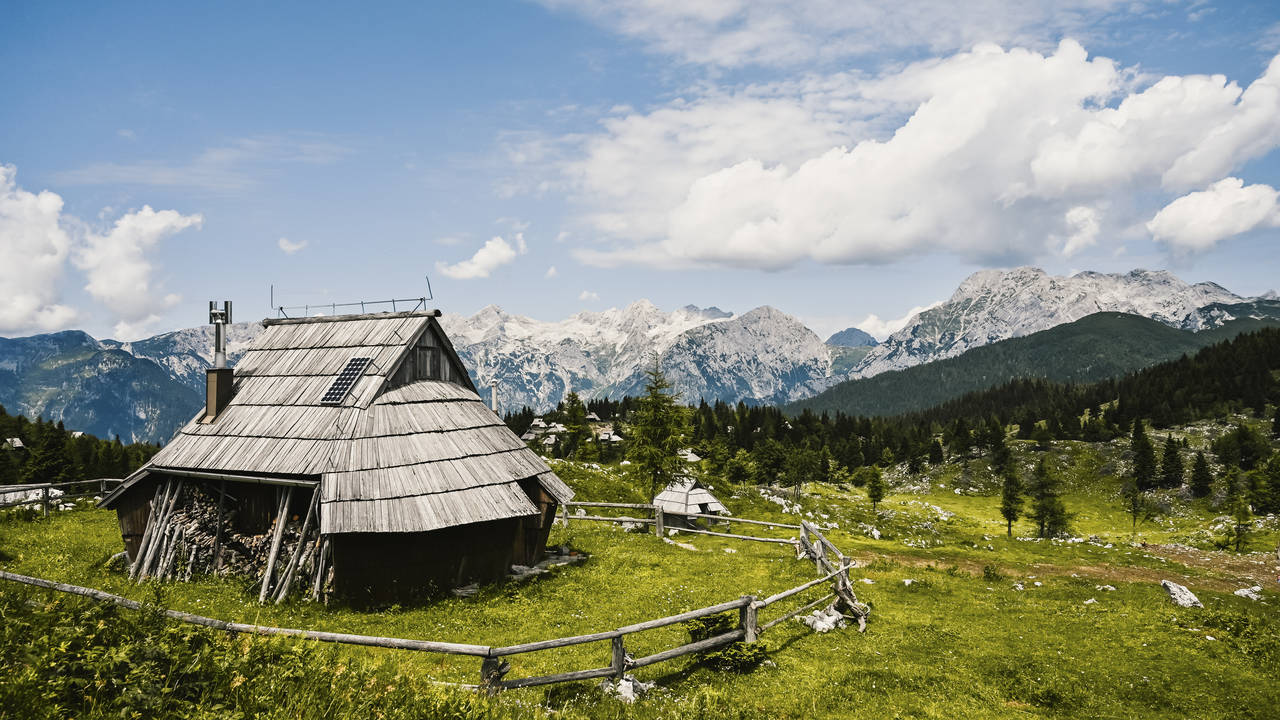 Velika Planina in Kamnik