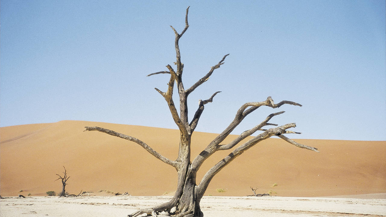 Deadvlei