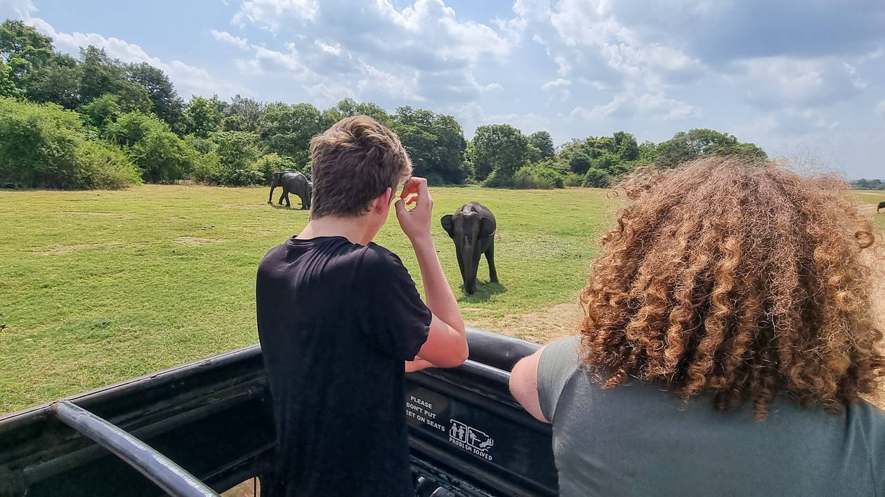 Olifanten spotten in Kaudulla National Park