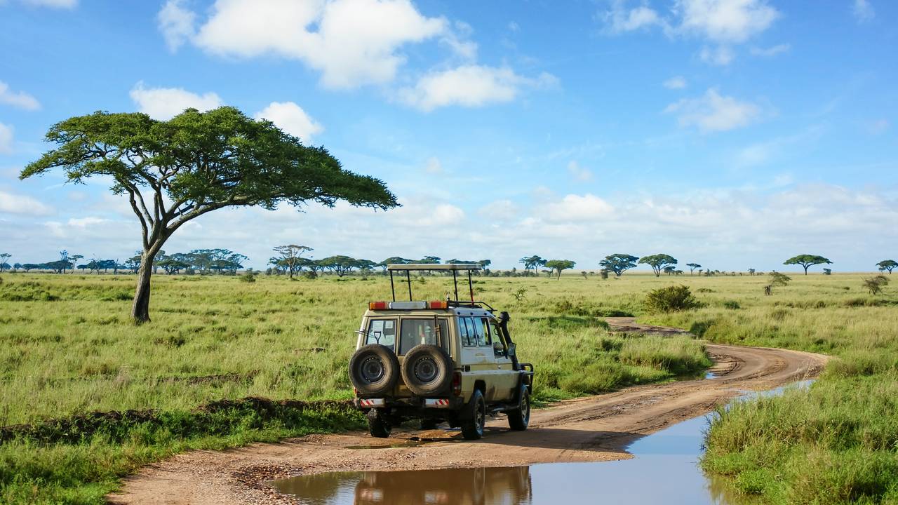 Jeepsafari in Tanzania