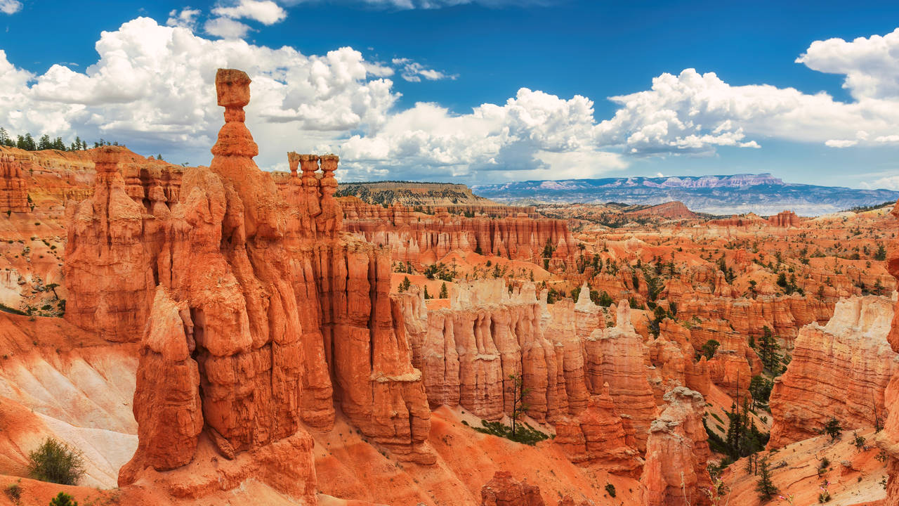 Thor's Hammer in Bryce Canyon