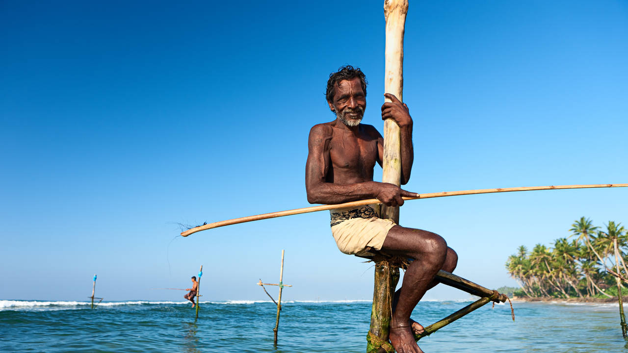 Paalvisser in Sri Lanka