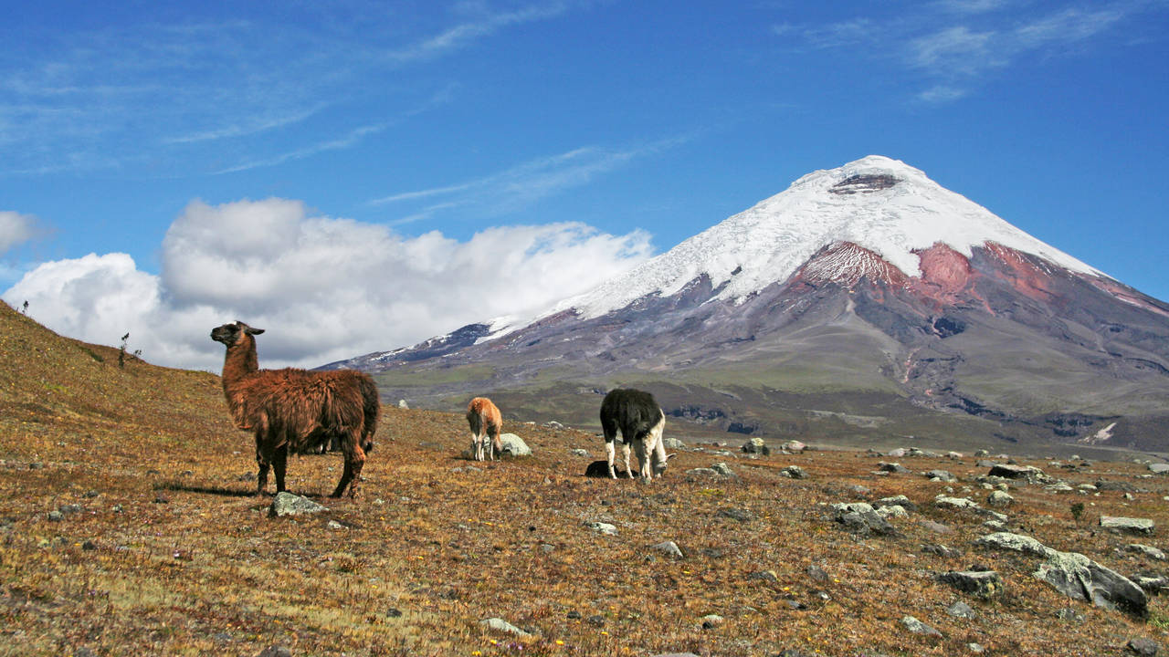 Cotopaxi, Ecuador