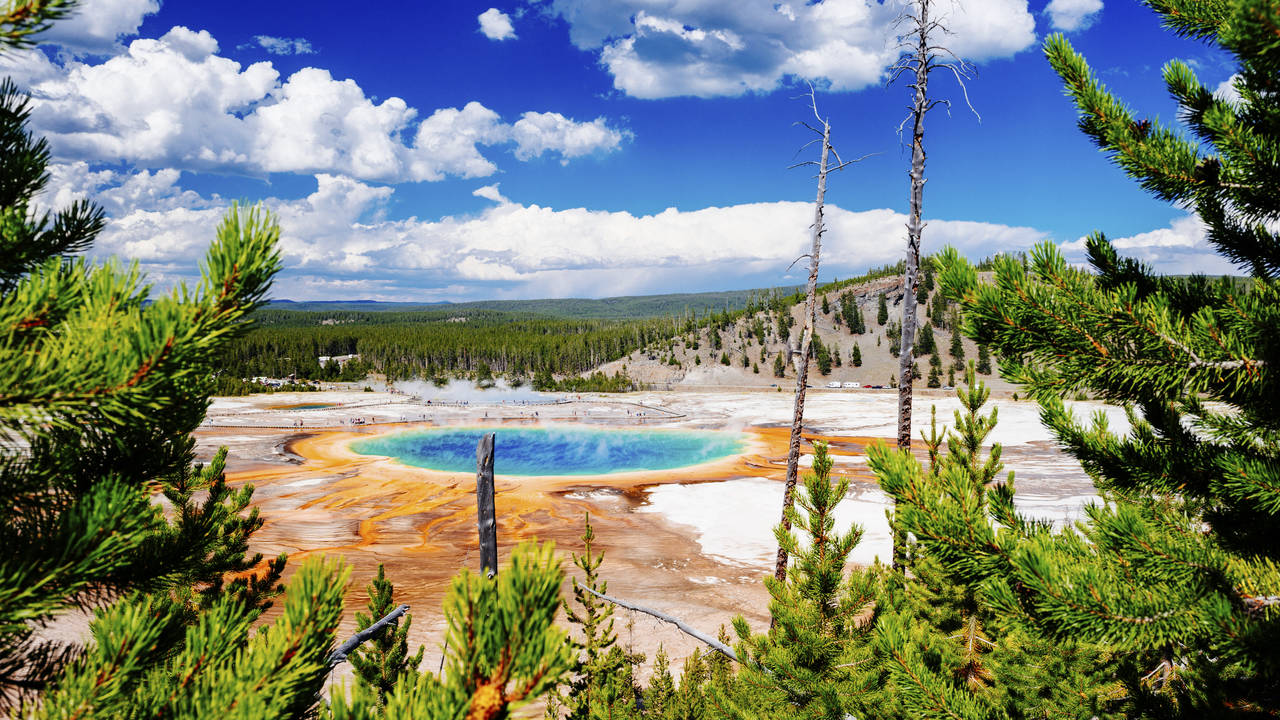 Yellowstone National Park