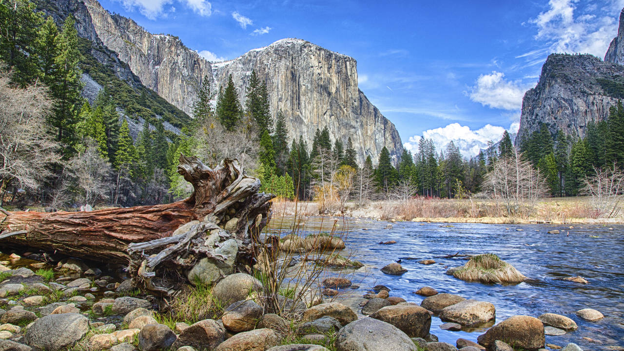 Yosemite National Park