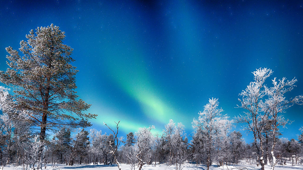 Noorderlicht boven besneeuwd Zweeds Lapland