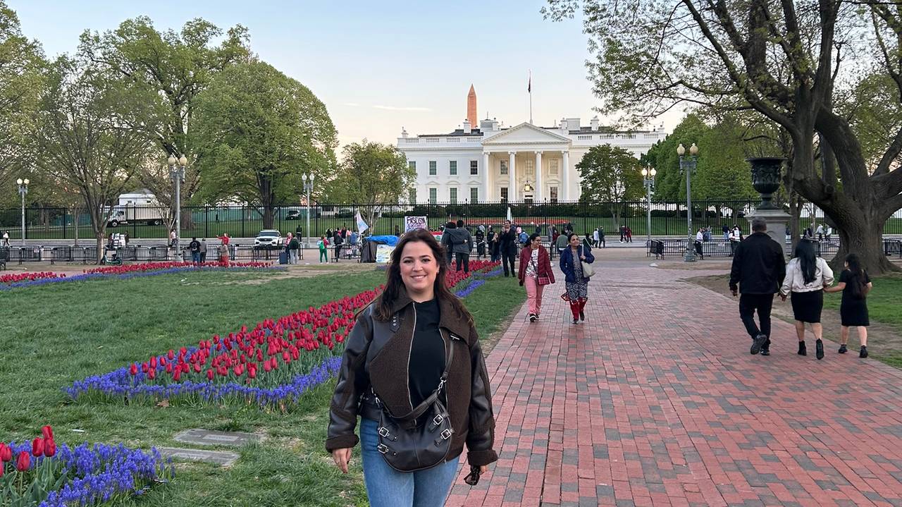 Het Witte Huis in Washington DC
