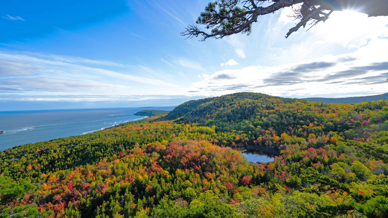 Acadia National Park