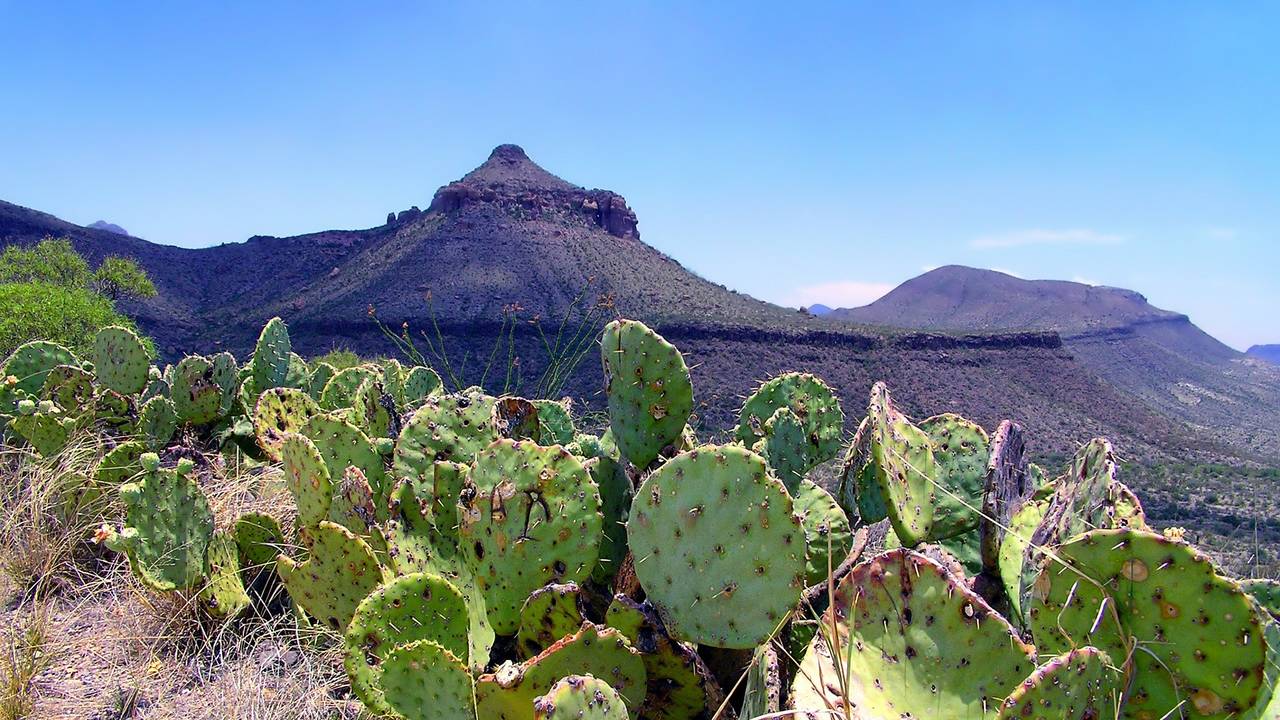 Big Bend