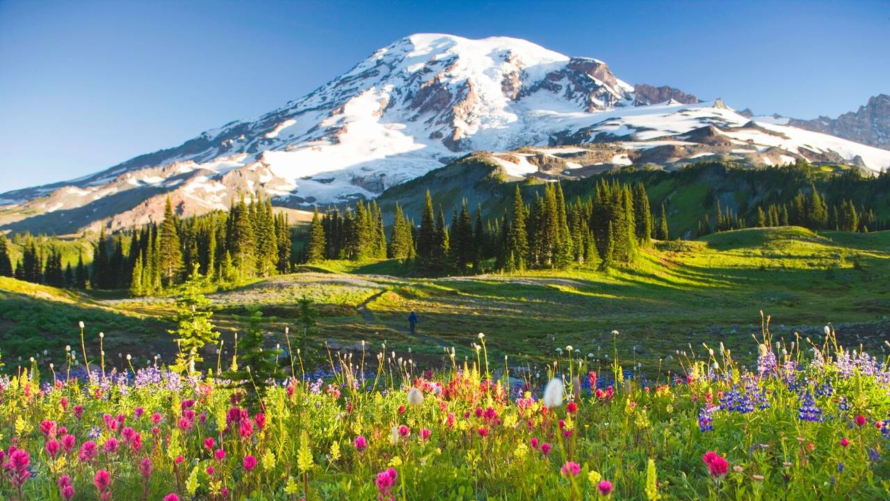 Mount Rainier National Park