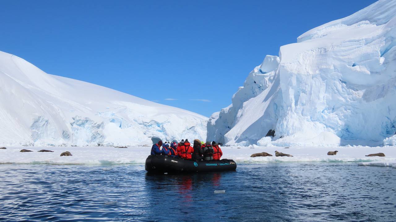 Varen in Antarctica