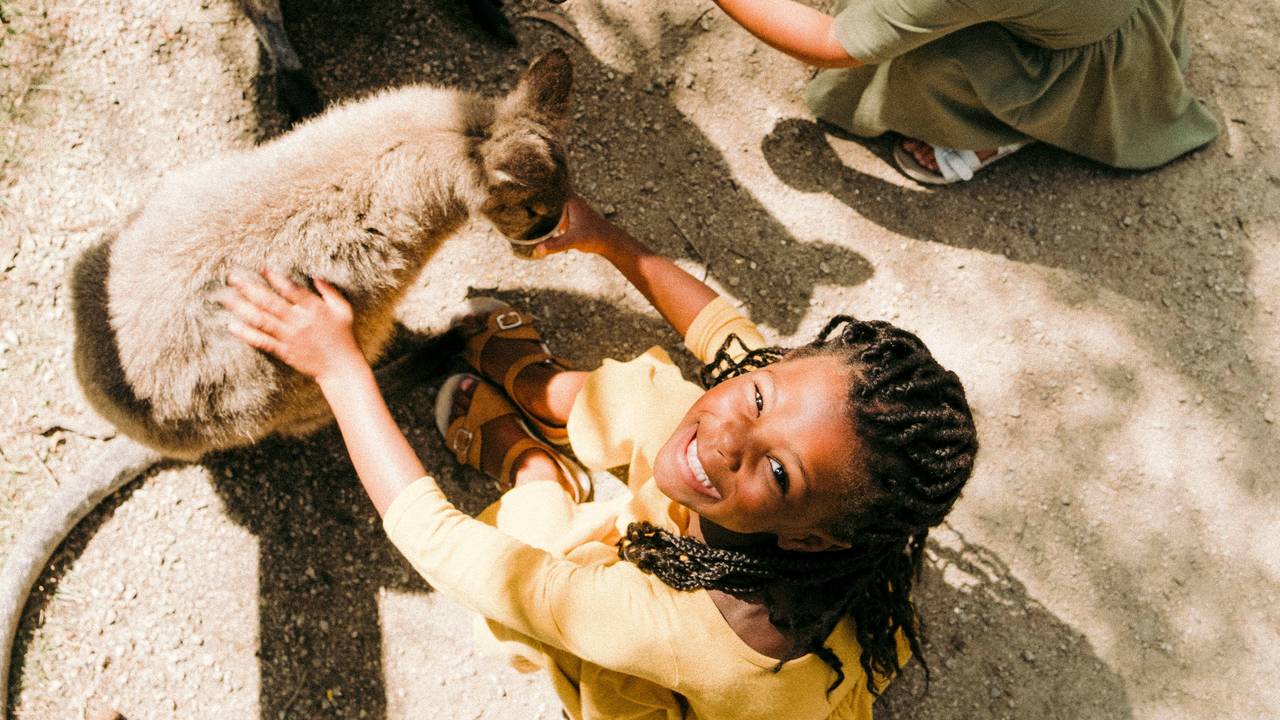 Wildlife spotten bij Freycinet National Park
