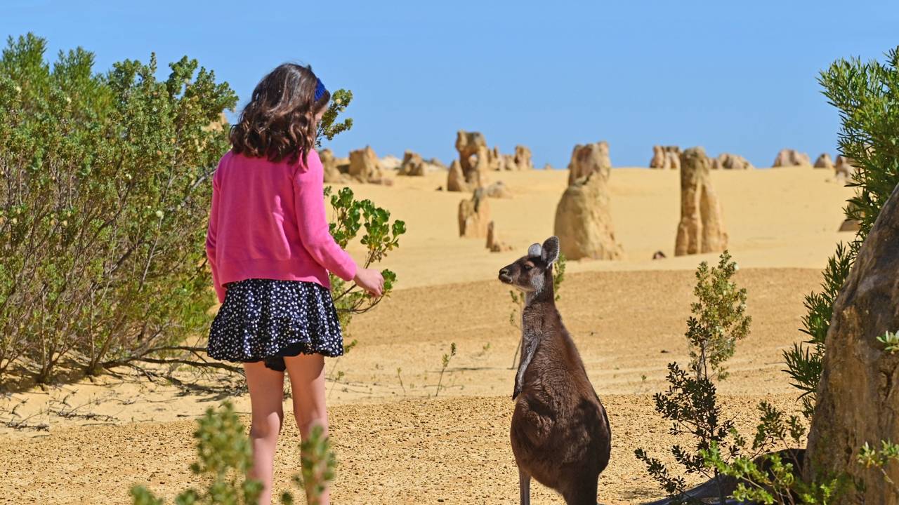 Pinnacles National Park