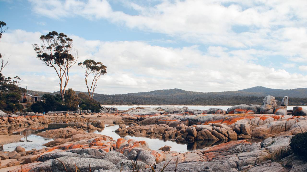 Bay of Fires, Tasmanië