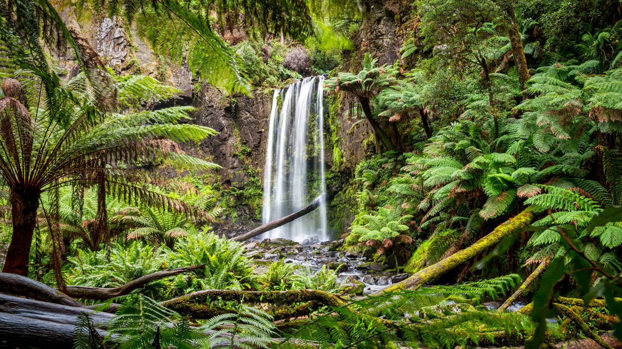 Hopetoun Falls, the Otways