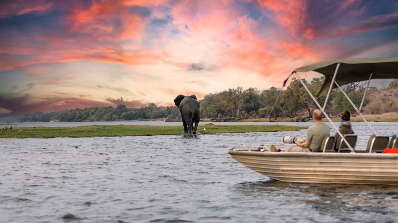 Op safari in Botswana