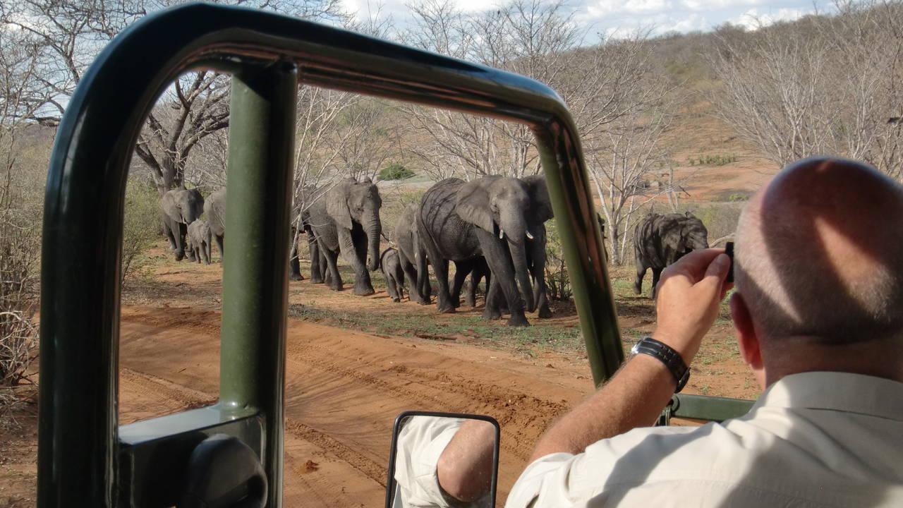 Safari in Chobe National Park