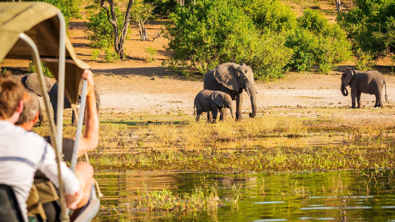 Op safari in Botswana