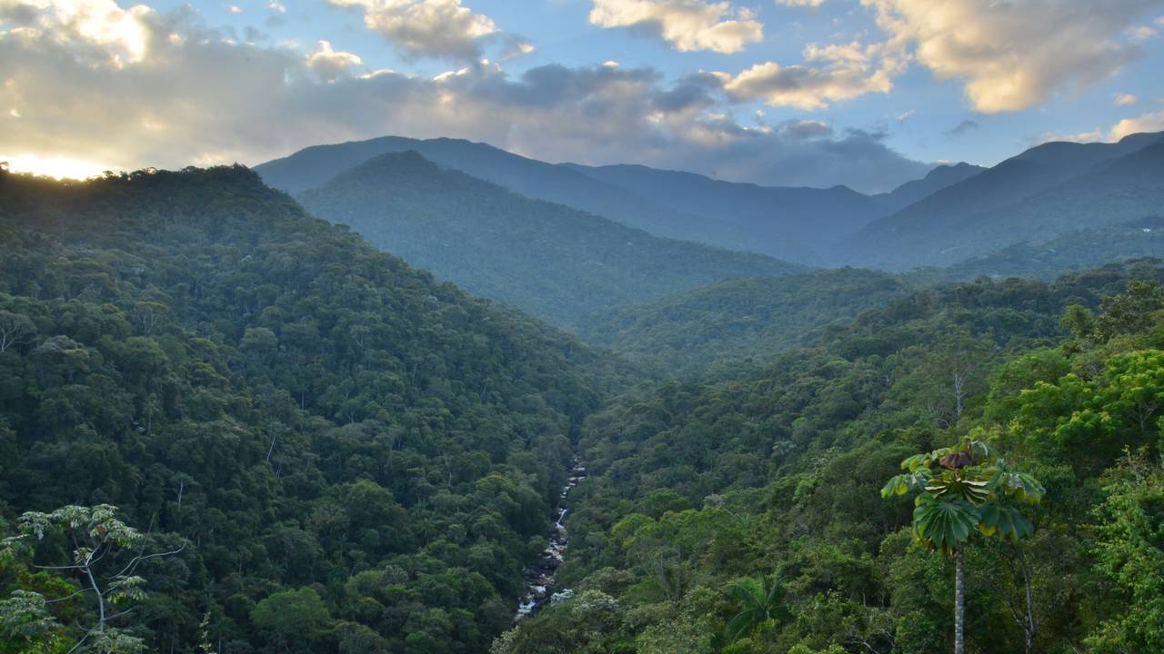 Berglandschap van Itatiaia National Park